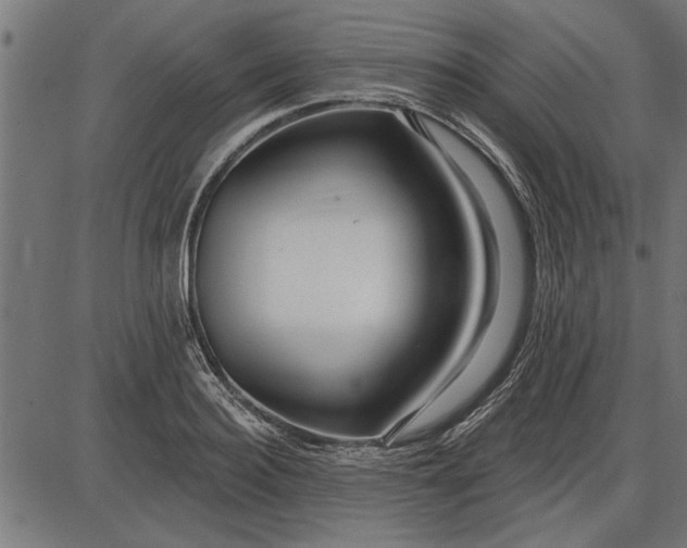 X0000086100940200704091349