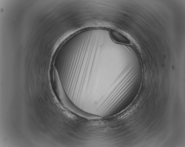 X0000086100943200704091349