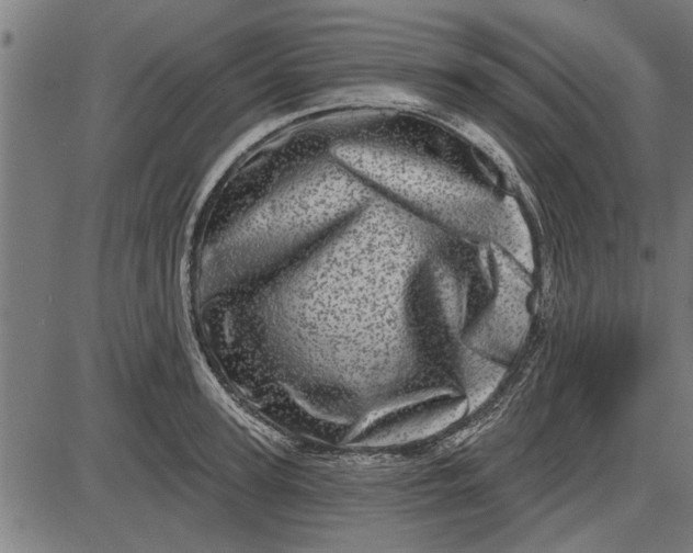 X0000086100947200704091349