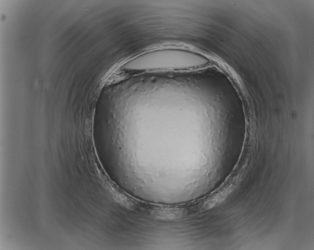 X0000086100953200704091349