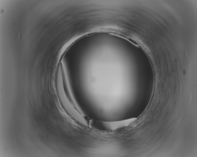 X0000086100960200704091349
