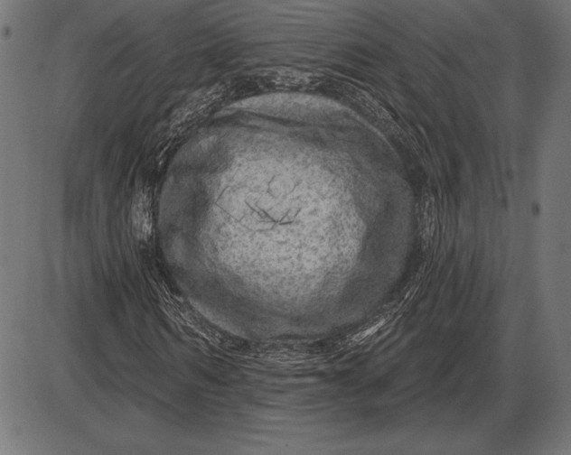 X0000086100962200704091348