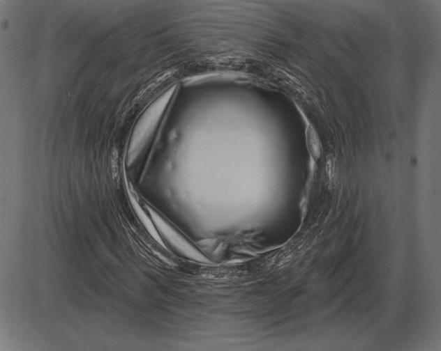 X0000086100963200704091348