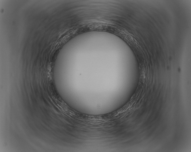 X0000086100964200704091348