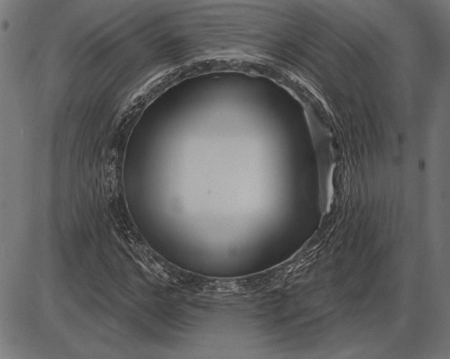 X0000086100968200704091348