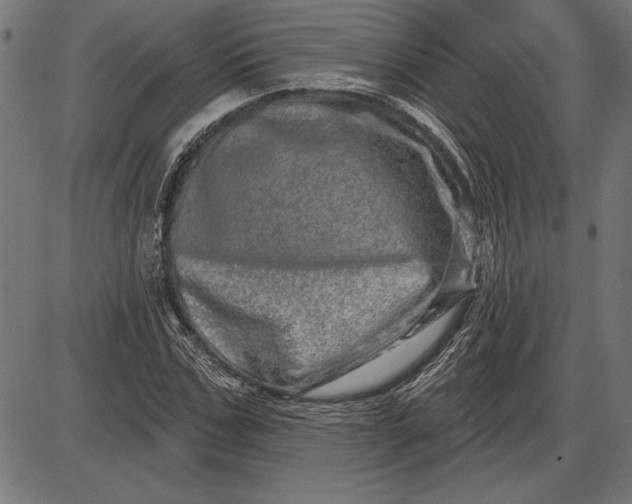 X0000086100971200704091348