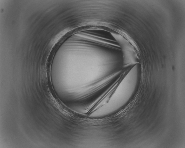 X0000086100972200704091348