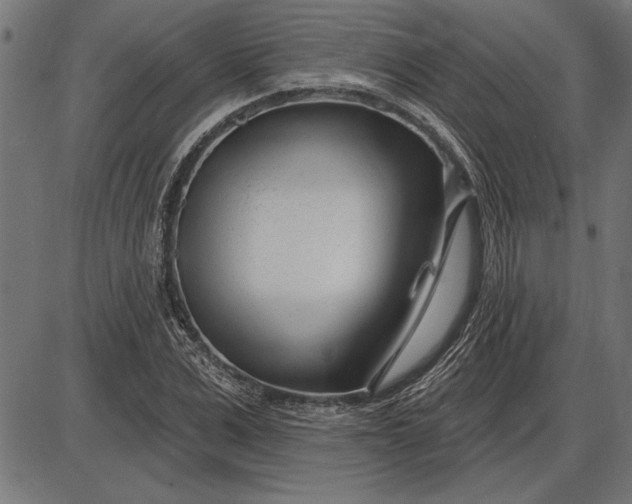 X0000086100975200704091348