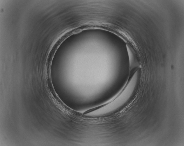 X0000086100976200704091348