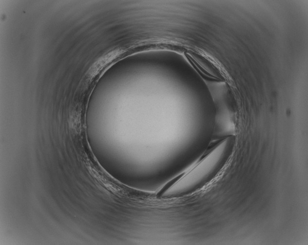 X0000086100977200704091348