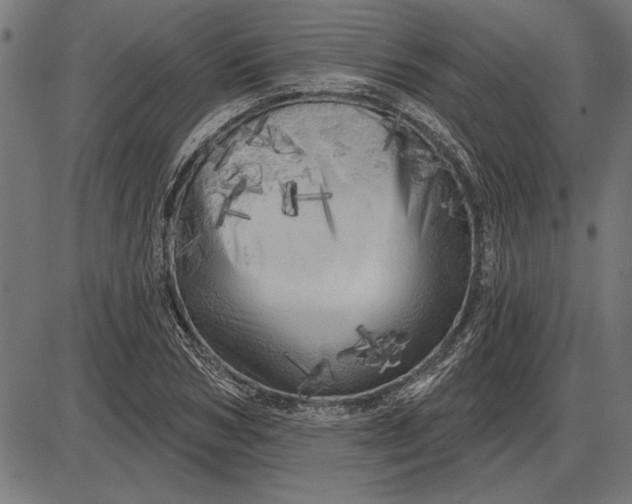 X0000086100978200704091348