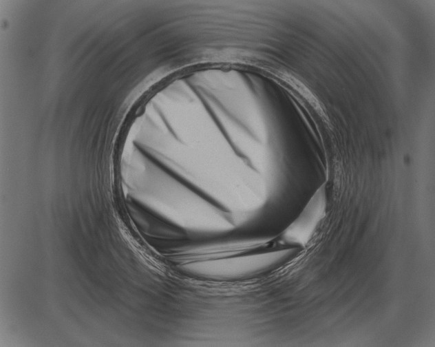 X0000086100980200704091348