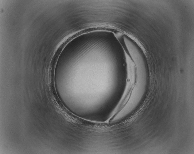 X0000086100983200704091348