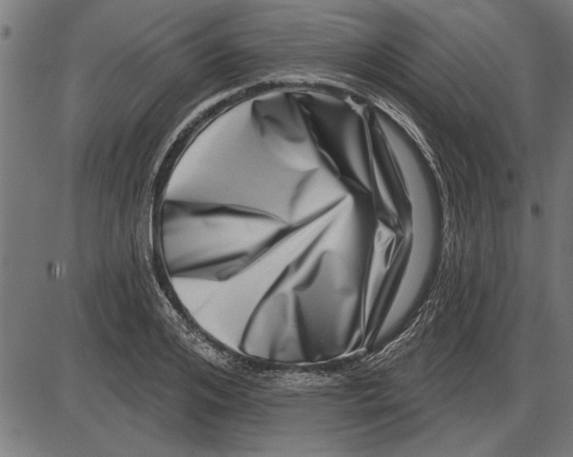 X0000086100984200704091348
