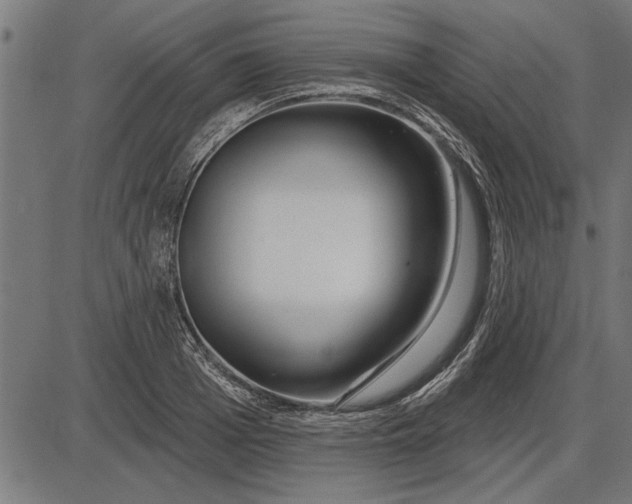X0000086100985200704091348