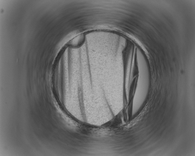 X0000086100991200704091348