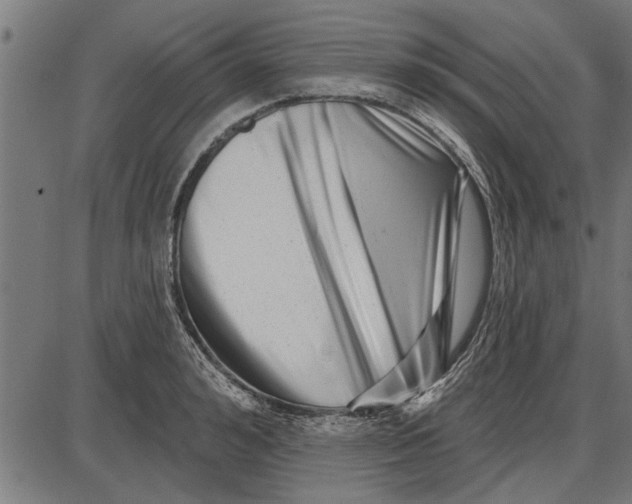 X0000086100992200704091348