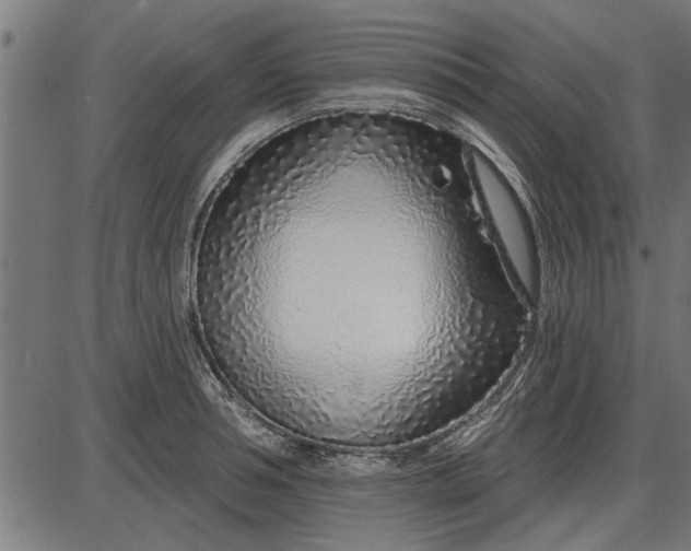 X0000086100994200704091348