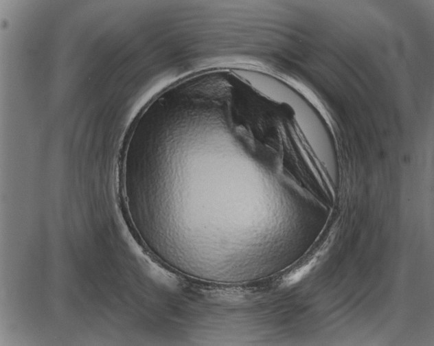 X0000086100999200704091347