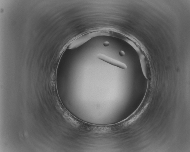X0000086101001200704091347