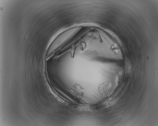 X0000086101006200704091347