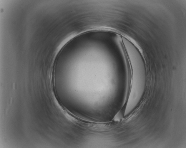 X0000086101007200704091347