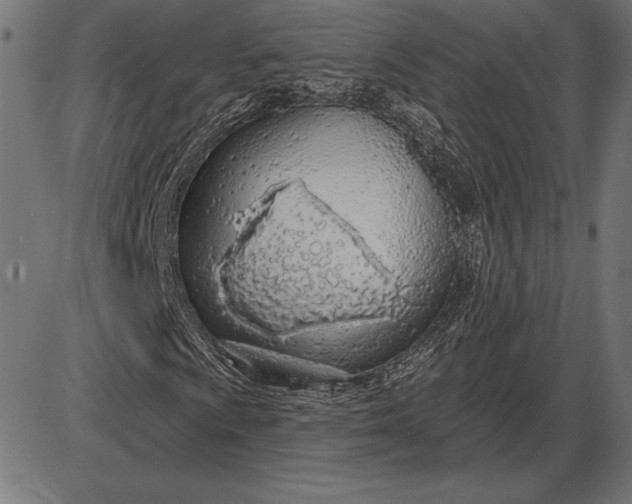 X0000086101009200704091347