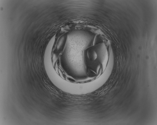 X0000086101010200704091347