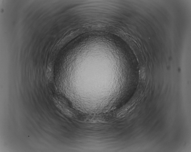 X0000086101011200704091347