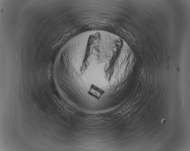X0000086101012200704091347