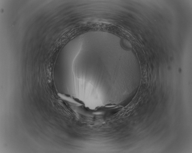 X0000086101013200704091347