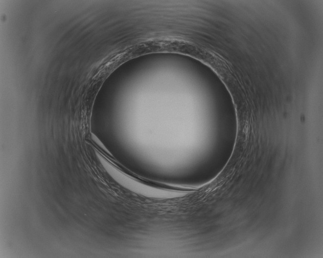 X0000086101014200704091347