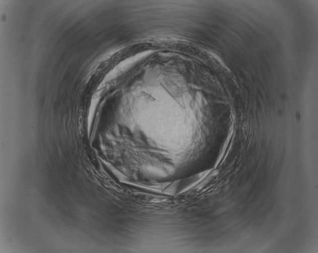 X0000086101016200704091347