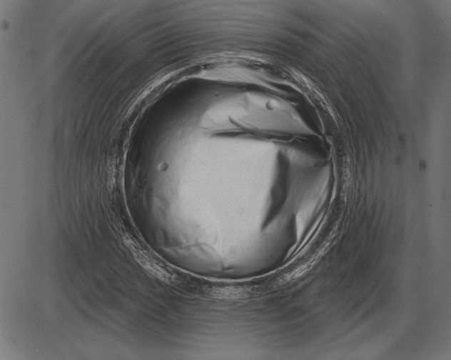 X0000086101017200704091347