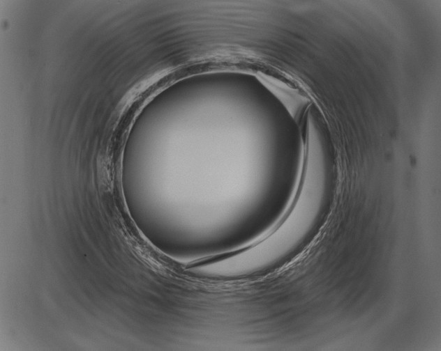 X0000086101018200704091347