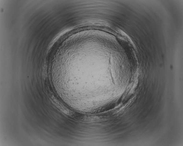 X0000086101019200704091347