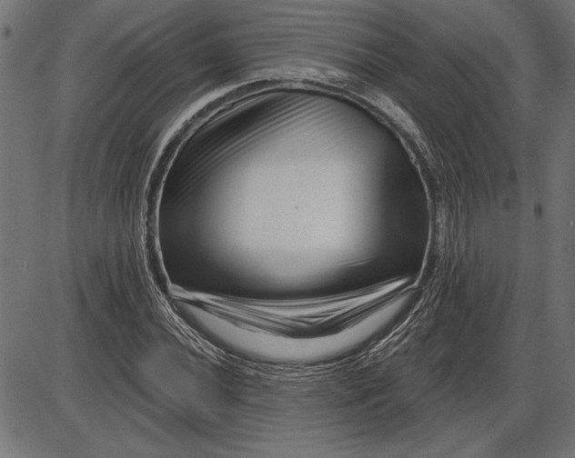 X0000086101020200704091347