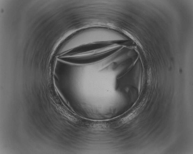 X0000086101021200704091347