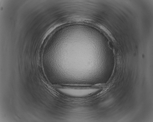 X0000086101023200704091347