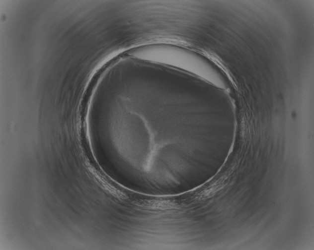 X0000086101024200704091347
