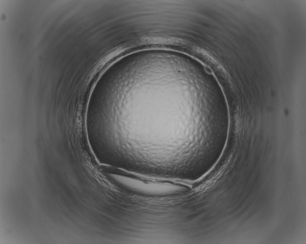 X0000086101025200704091347