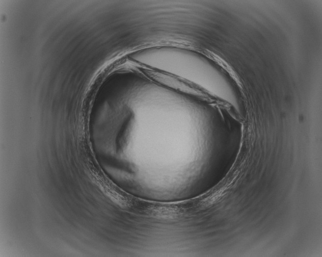 X0000086101027200704091347