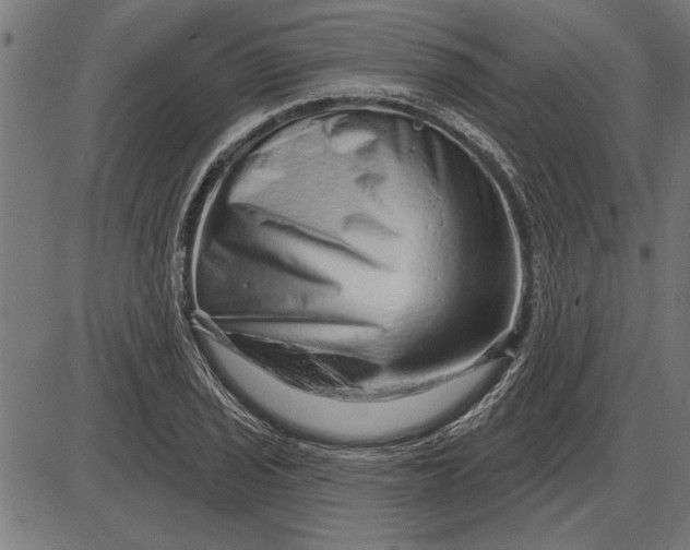 X0000086101029200704091347