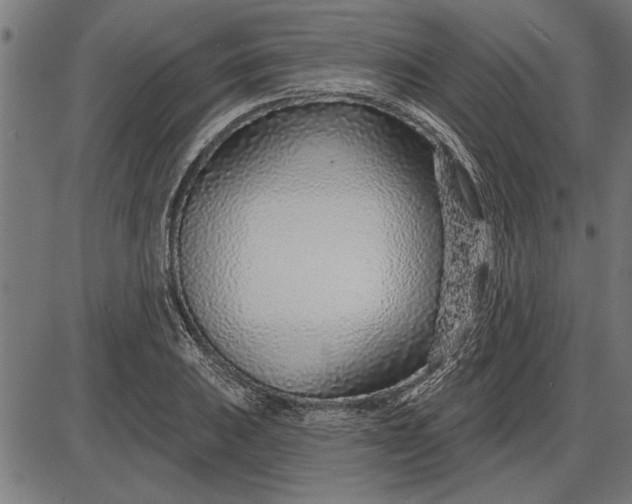 X0000086101031200704091347