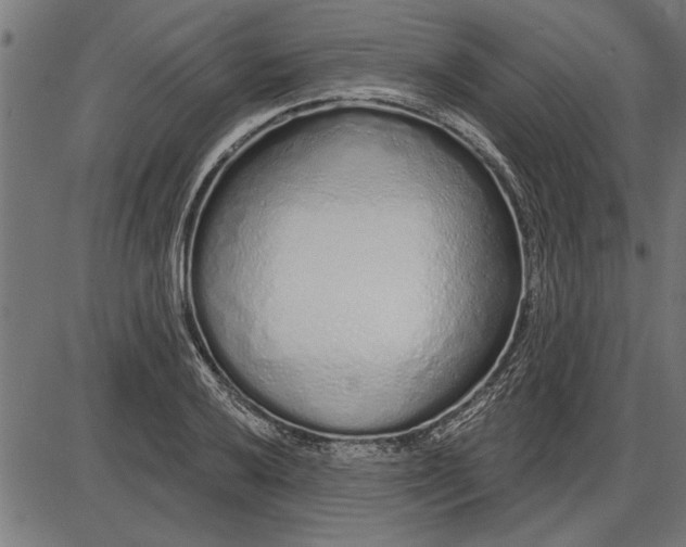 X0000086101032200704091347