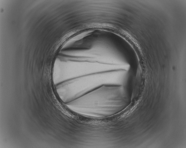 X0000086101033200704091347