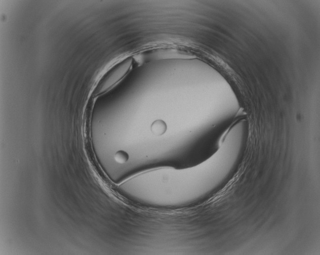 X0000086101034200704091347