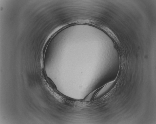 X0000086101036200704091347