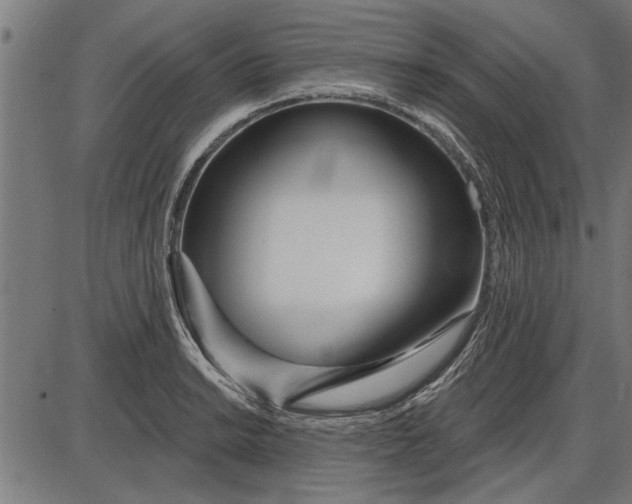 X0000086101038200704091347