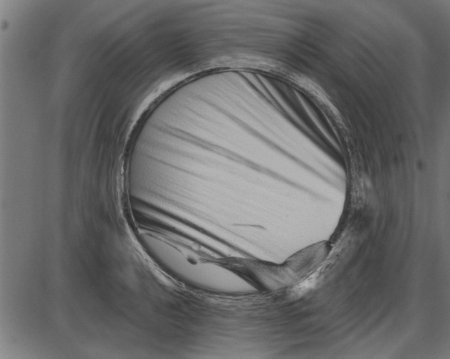 X0000086101040200704091347